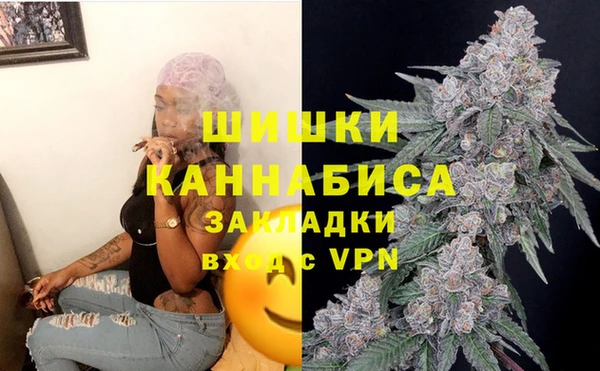 гидропоника Белокуриха