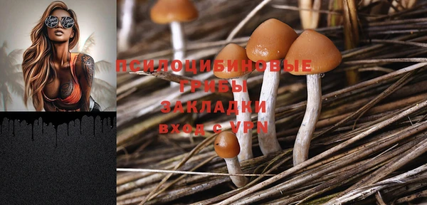 гидропоника Белокуриха