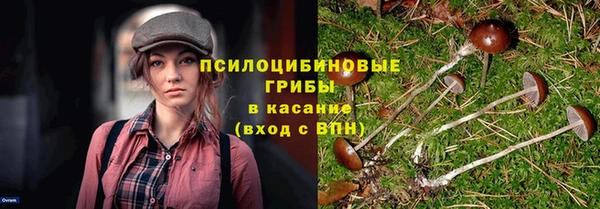 винт Беломорск