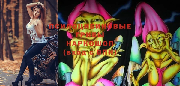 гидропоника Белоозёрский