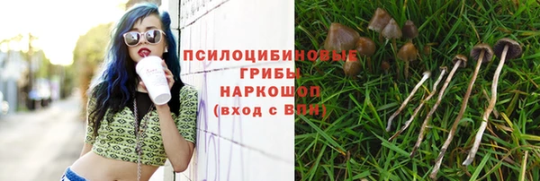 гидропоника Белокуриха