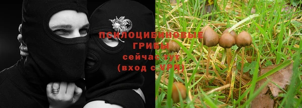 гидропоника Белокуриха